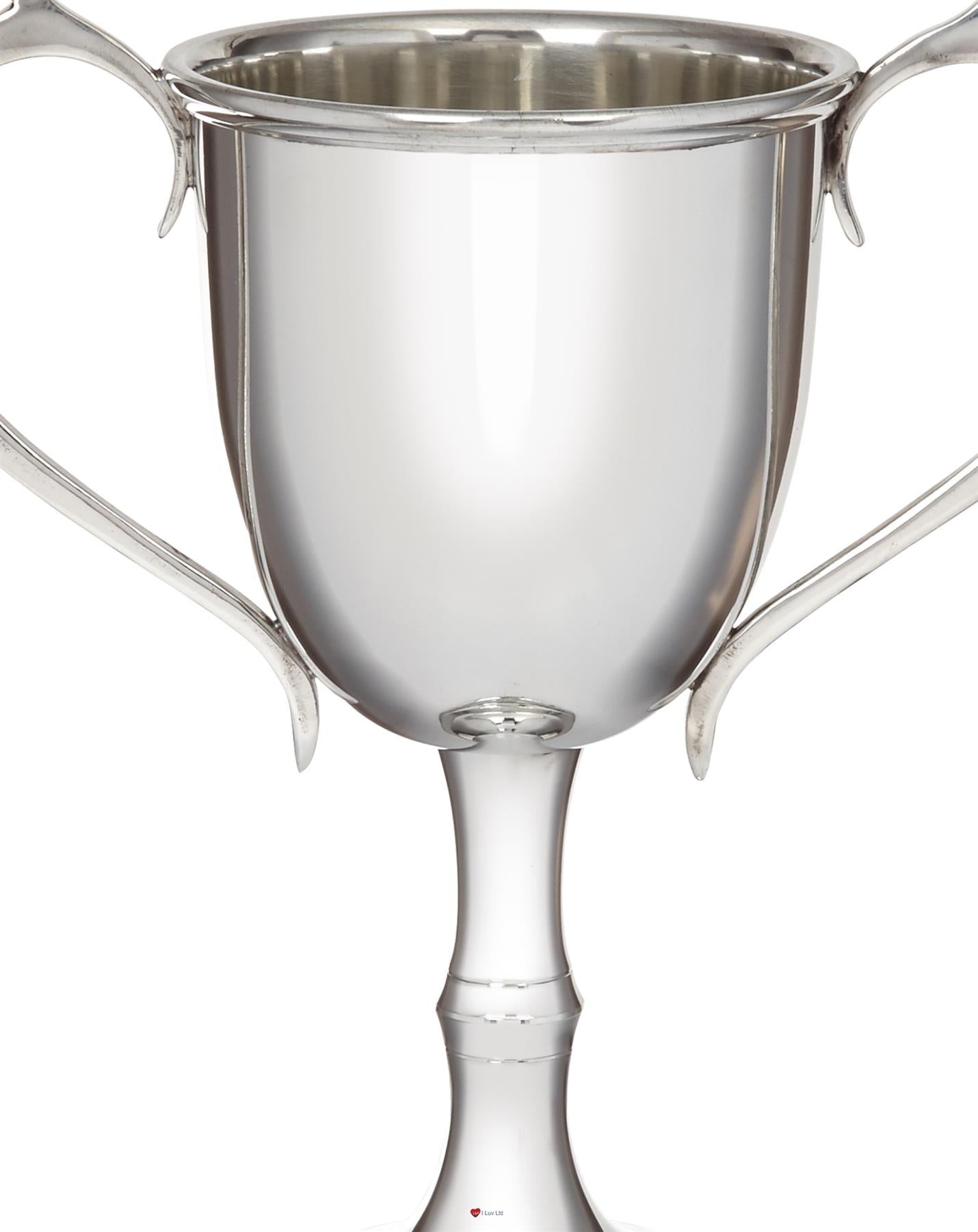 265mm Pewter Champions Cup Sport Trophy on Integral Plinth Perfect for Engraving