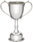 300mm Pewter Champions Cup Sport Trophy on Integral Plinth Perfect for Engraving