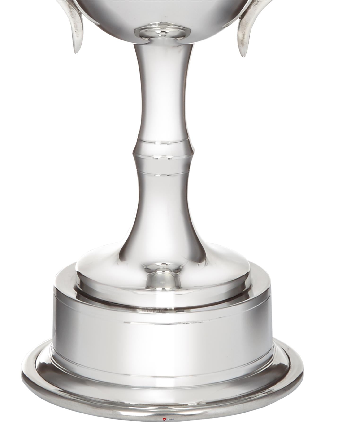 280mm Pewter Champions Cup Sport Trophy on Integral Plinth Perfect for Engraving