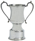 Traditional Style Sporting Presentation Trophy 12inch Polished Pewter Engravable