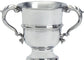 Pewter Sporting Trophy 10inch Polished Makenzie Style Football, Rugby, Rowing