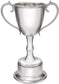 210mm Pewter Champions Cup Sport Trophy on Integral Plinth Perfect for Engraving