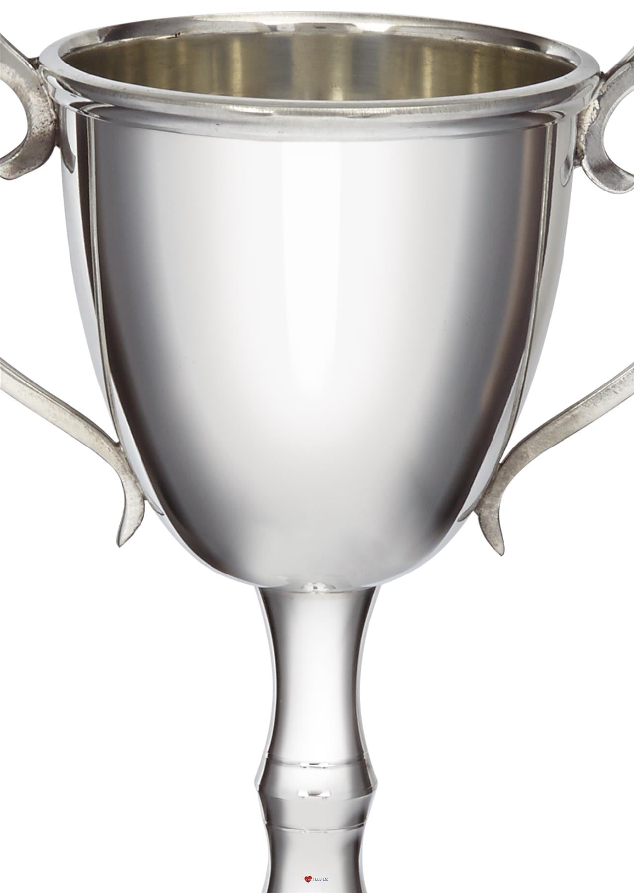 220mm Pewter Champions Cup Sport Trophy on Integral Plinth Perfect for Engraving