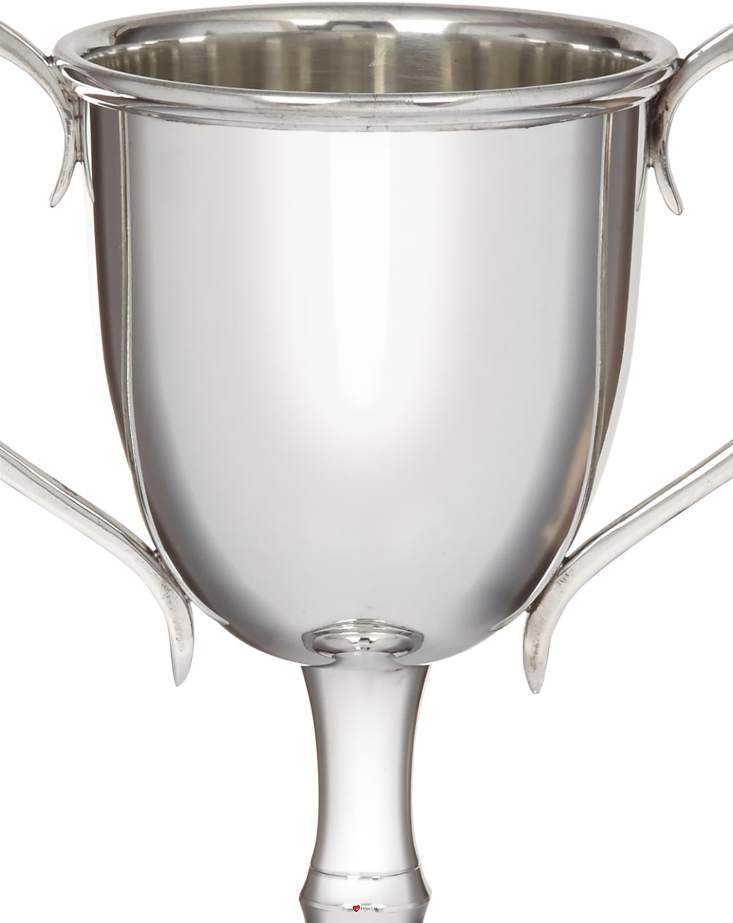 300mm Pewter Champions Cup Sport Trophy on Integral Plinth Perfect for Engraving