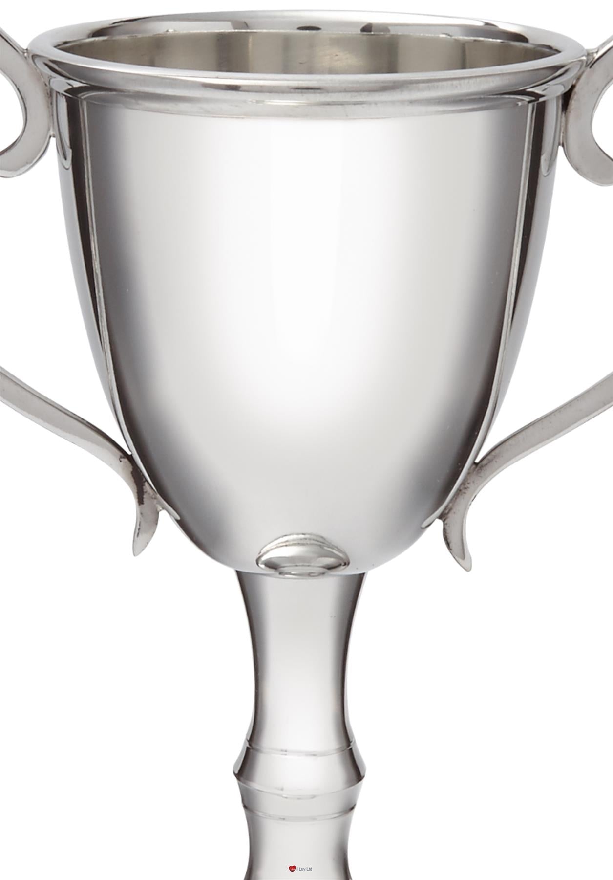 210mm Pewter Champions Cup Sport Trophy on Integral Plinth Perfect for Engraving