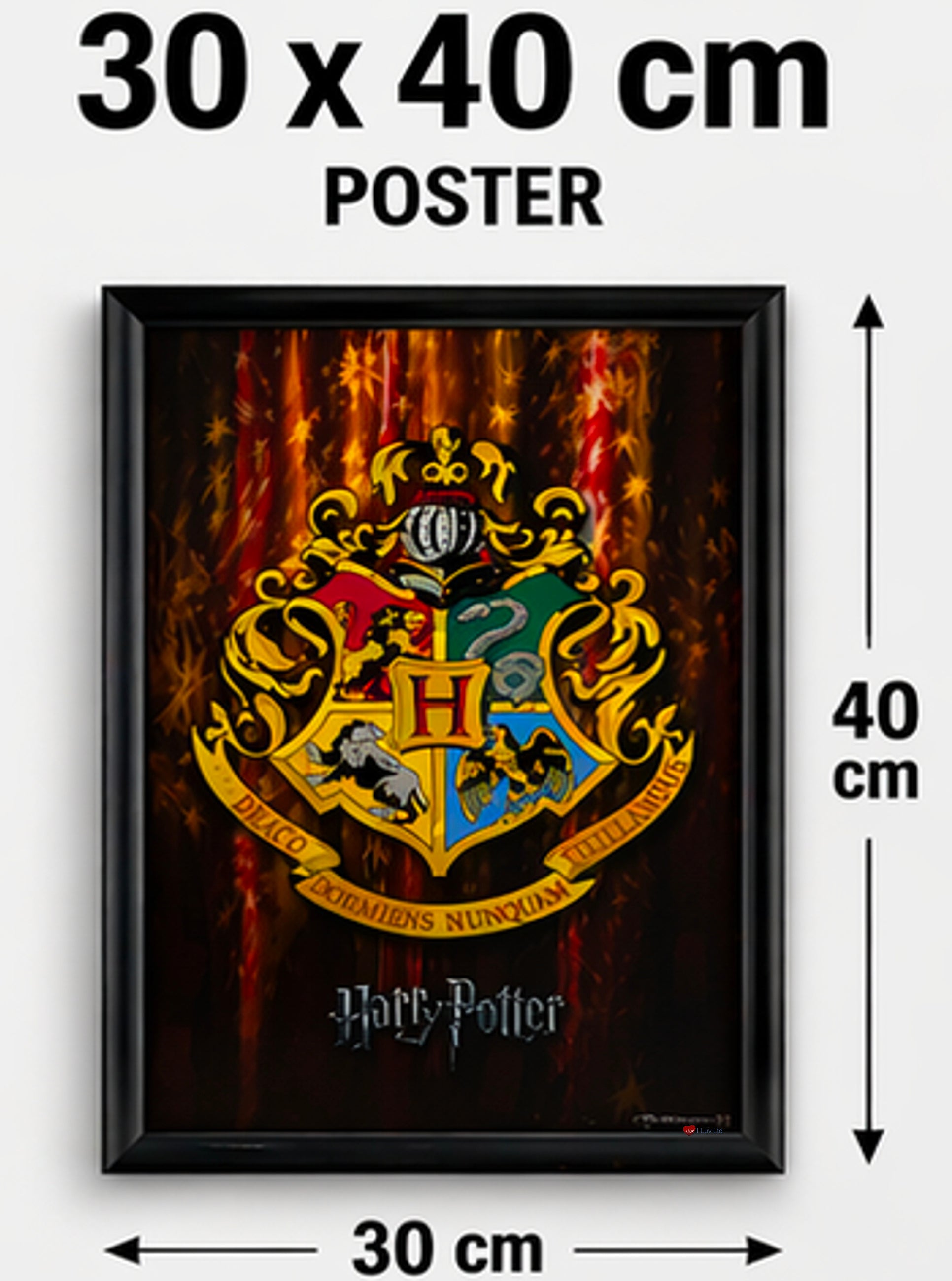 Harry Potter Hogwarts Crest Framed Poster 30x40cm – Wizarding World Wall Art Print
