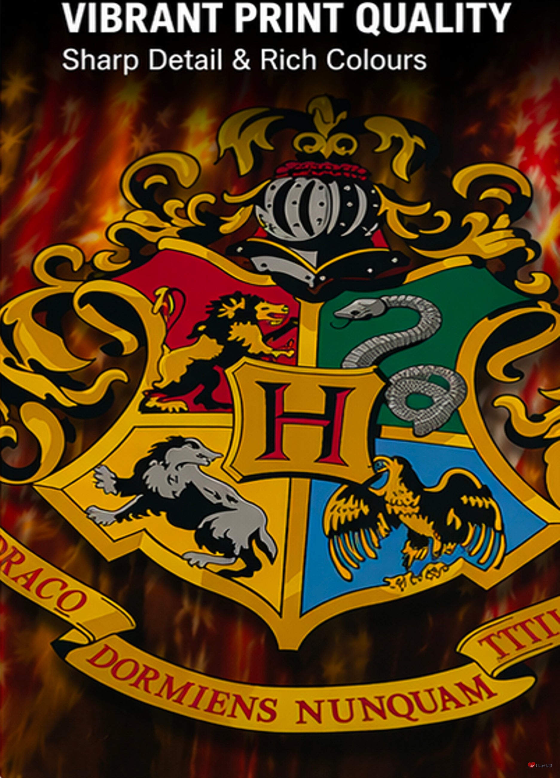 Harry Potter Hogwarts Crest Framed Poster 30x40cm – Wizarding World Wall Art Print