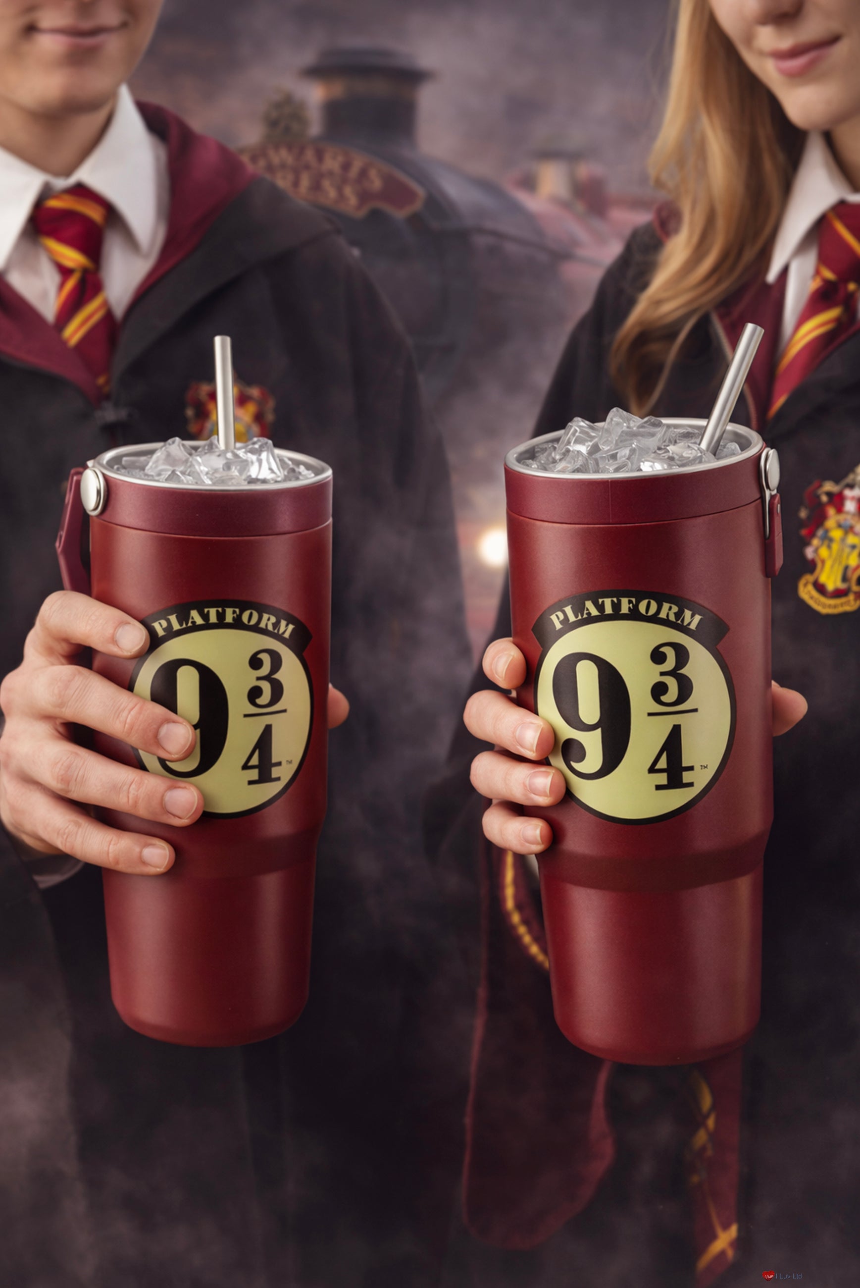 Harry Potter Platform 9 3/4 30 oz Tumbler Bottle – Hogwarts Express Travel Drink Bottle