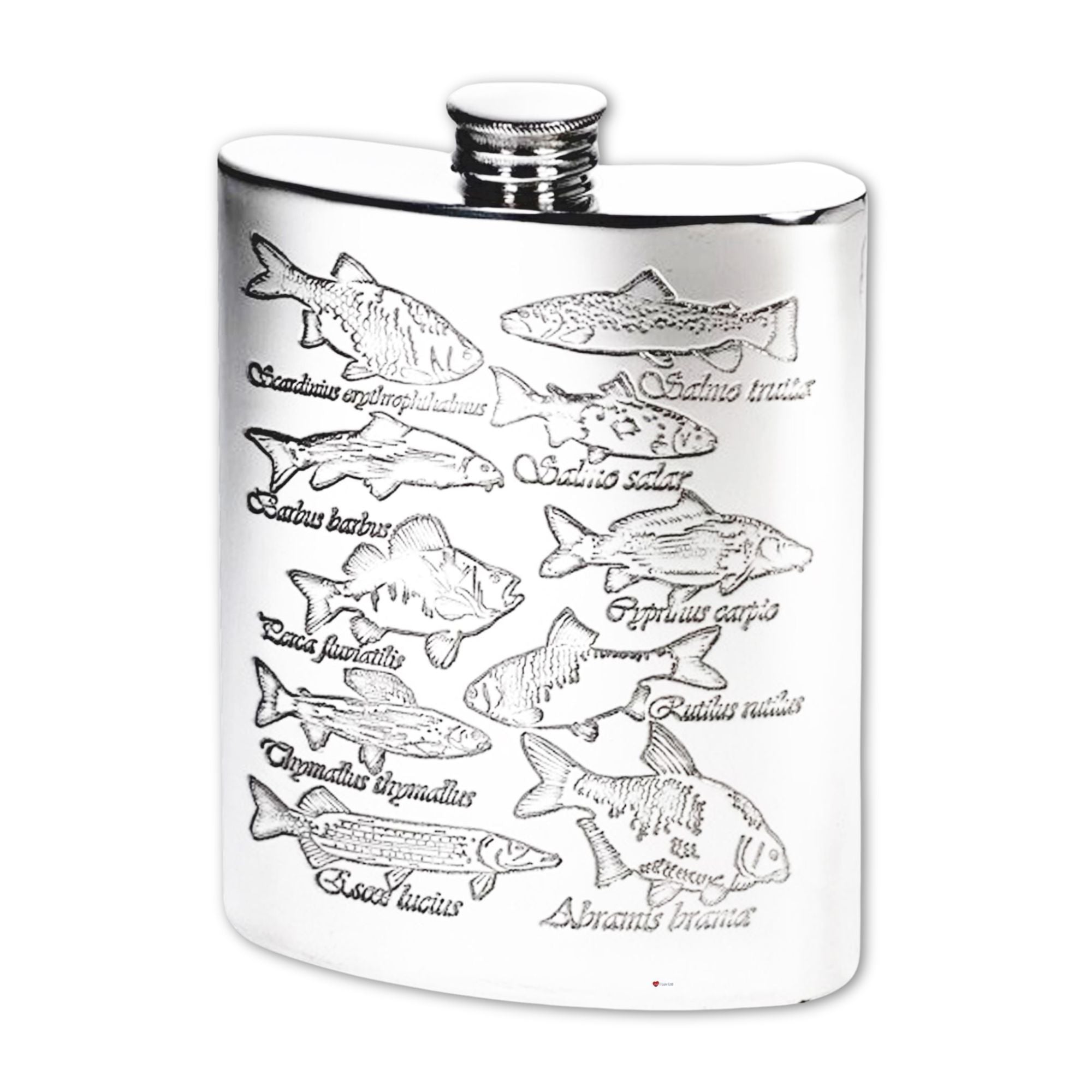 Kidney Shaped Flask 6oz Pewter with Fish and Their Latin Names