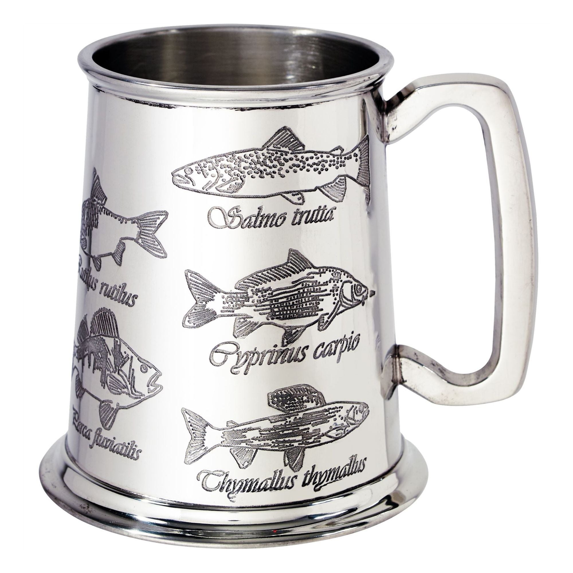 Silver tankard with engraved fish illustrations and names on a white background