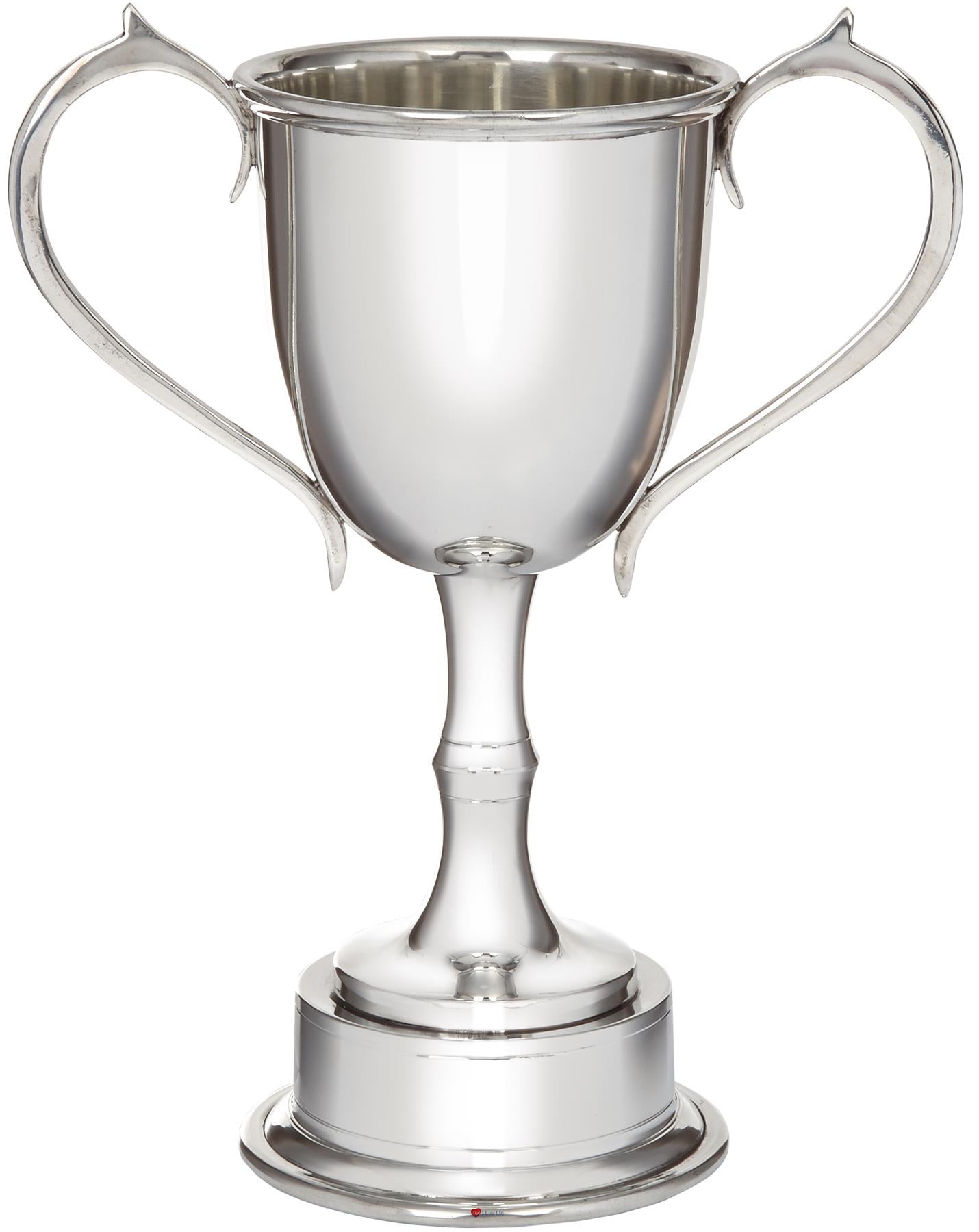 280mm Pewter Champions Cup Sport Trophy on Integral Plinth Perfect for Engraving