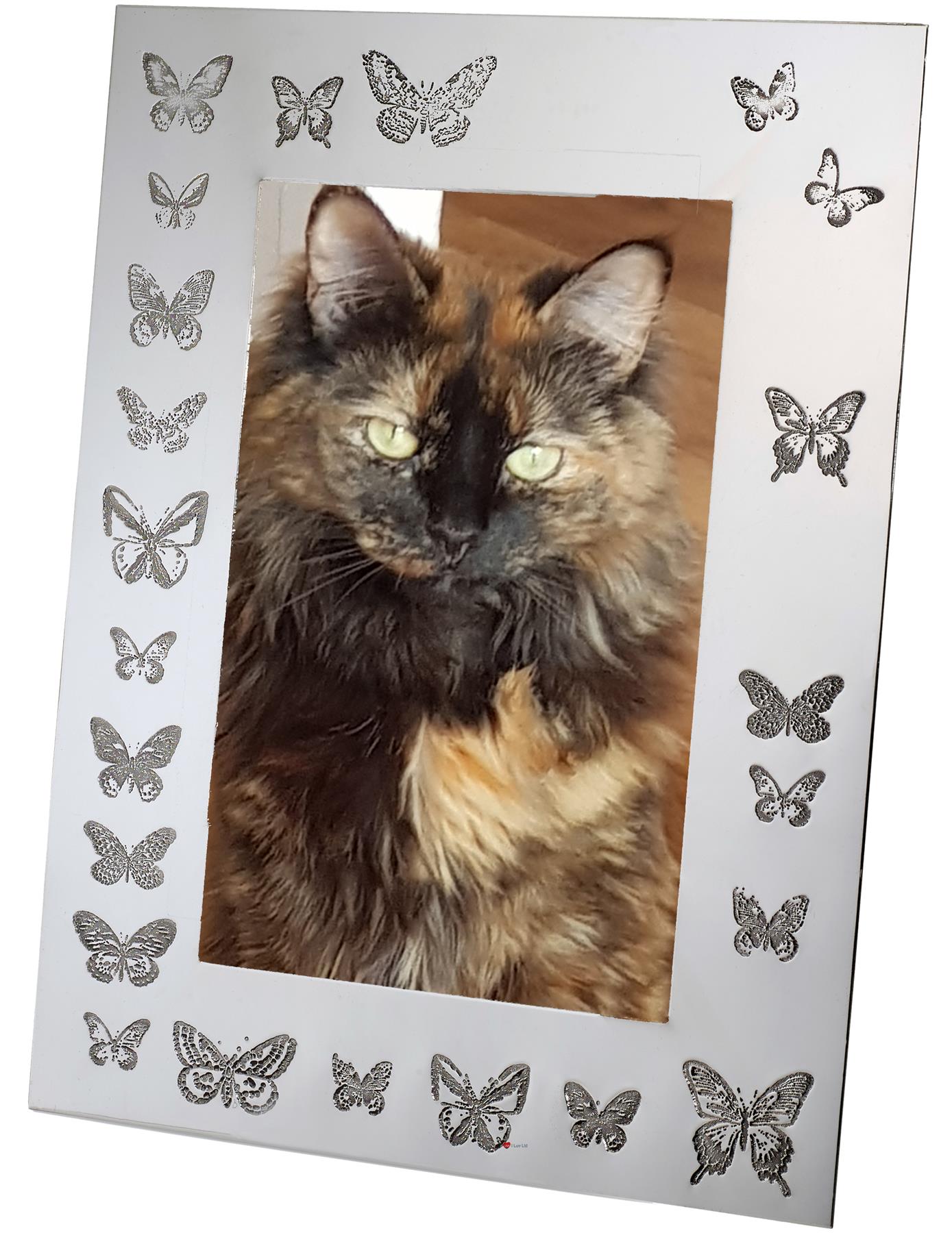 Pewter Single Photo Frame Butterfly Pattern 6 x 4 Inch Perfect for Engraving