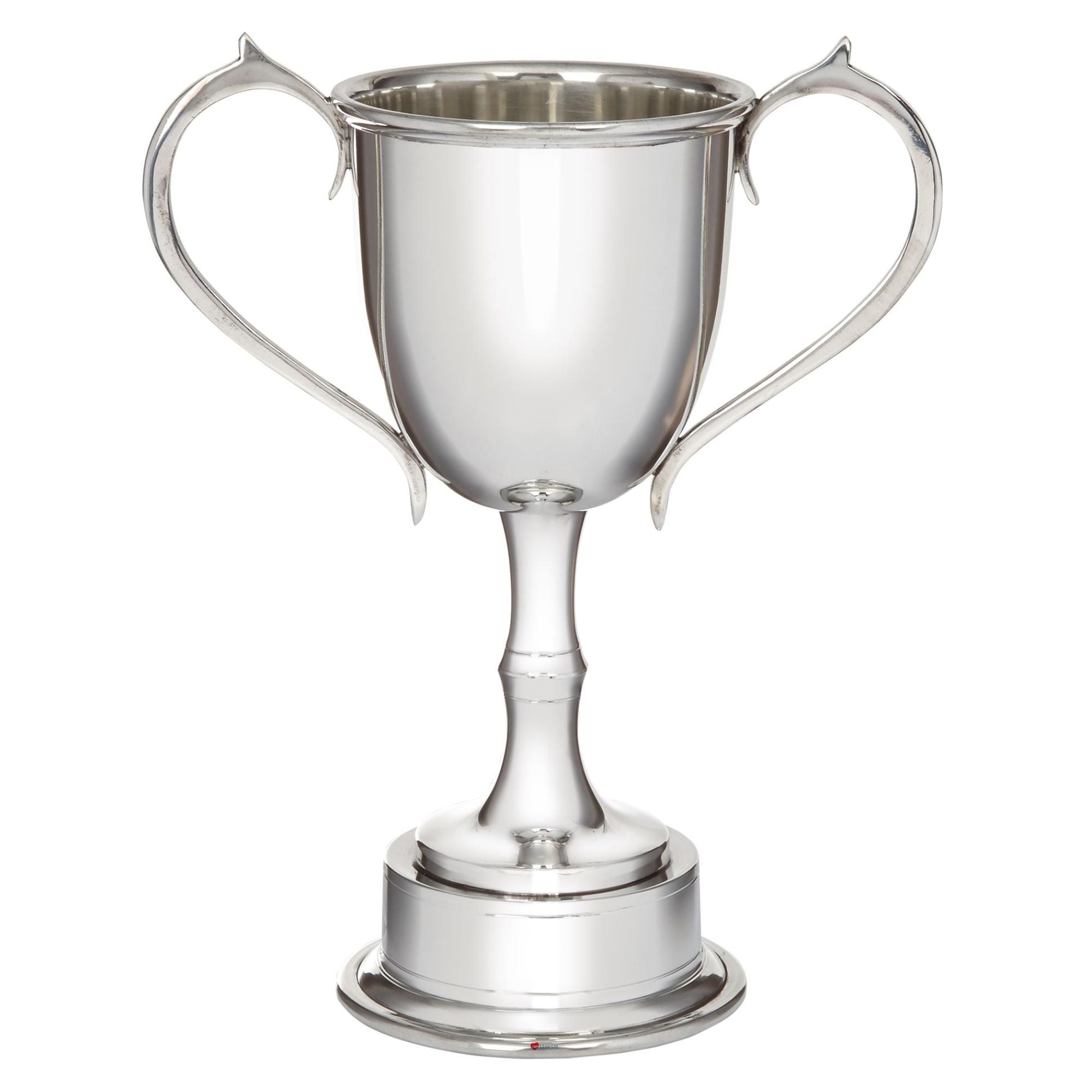 300mm Pewter Champions Cup Sport Trophy on Integral Plinth Perfect for Engraving