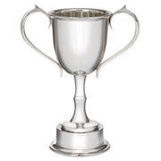 Silver trophy cup with two handles on a white background