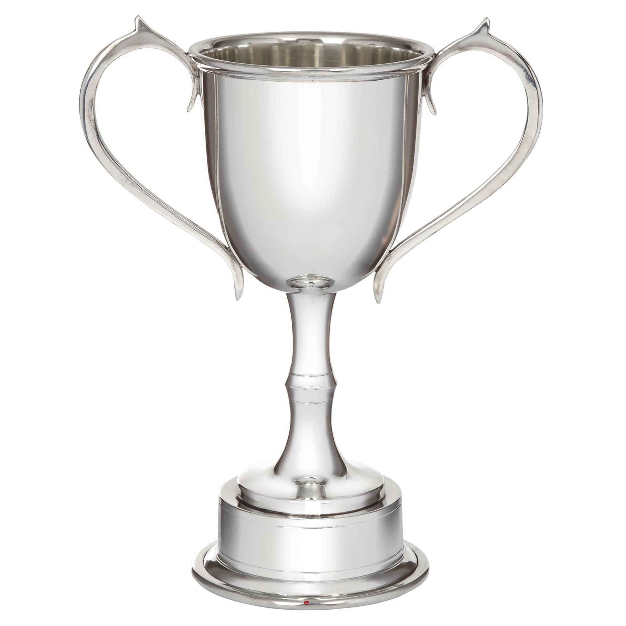 Silver trophy cup with two handles on a white background