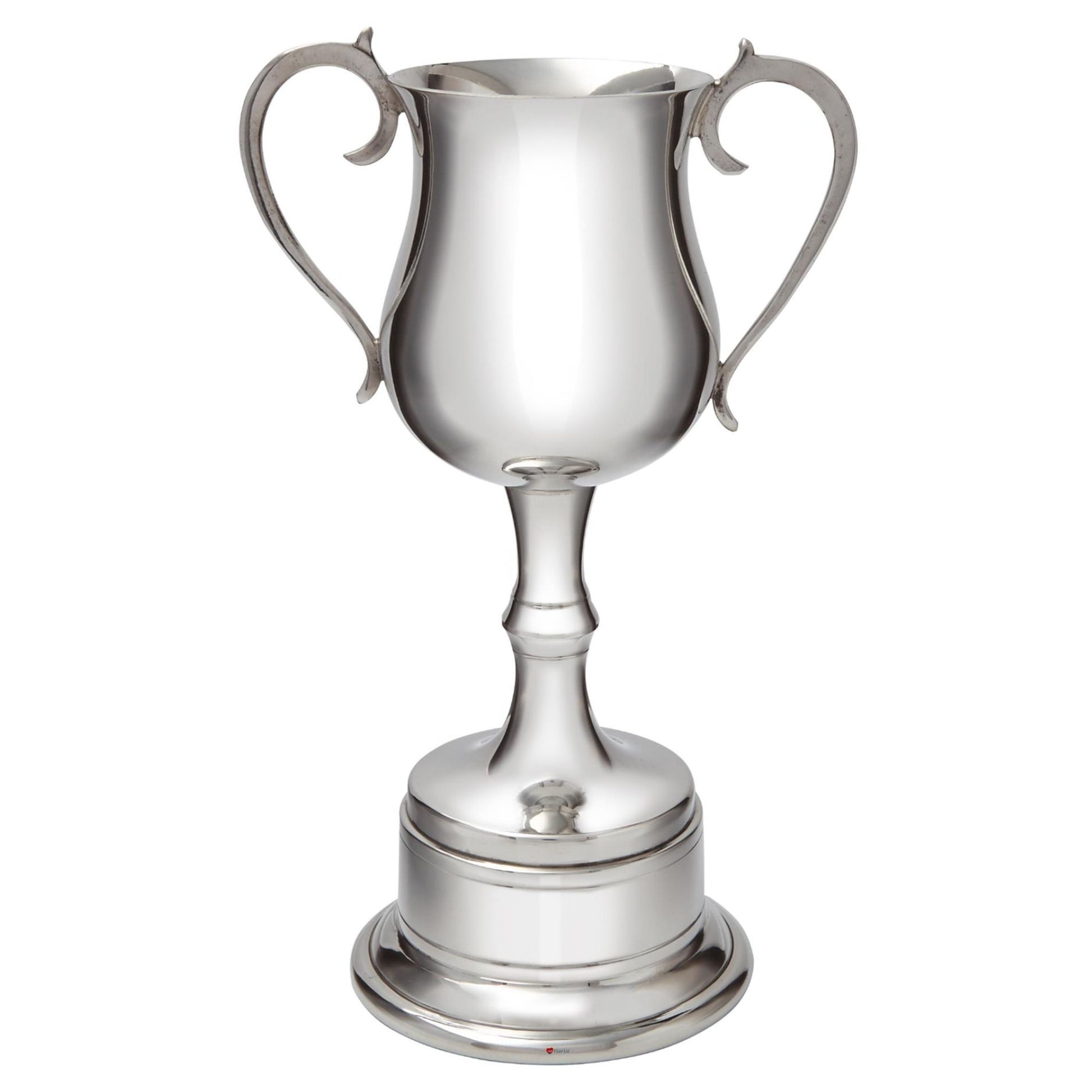 Silver trophy cup with two handles on a white background