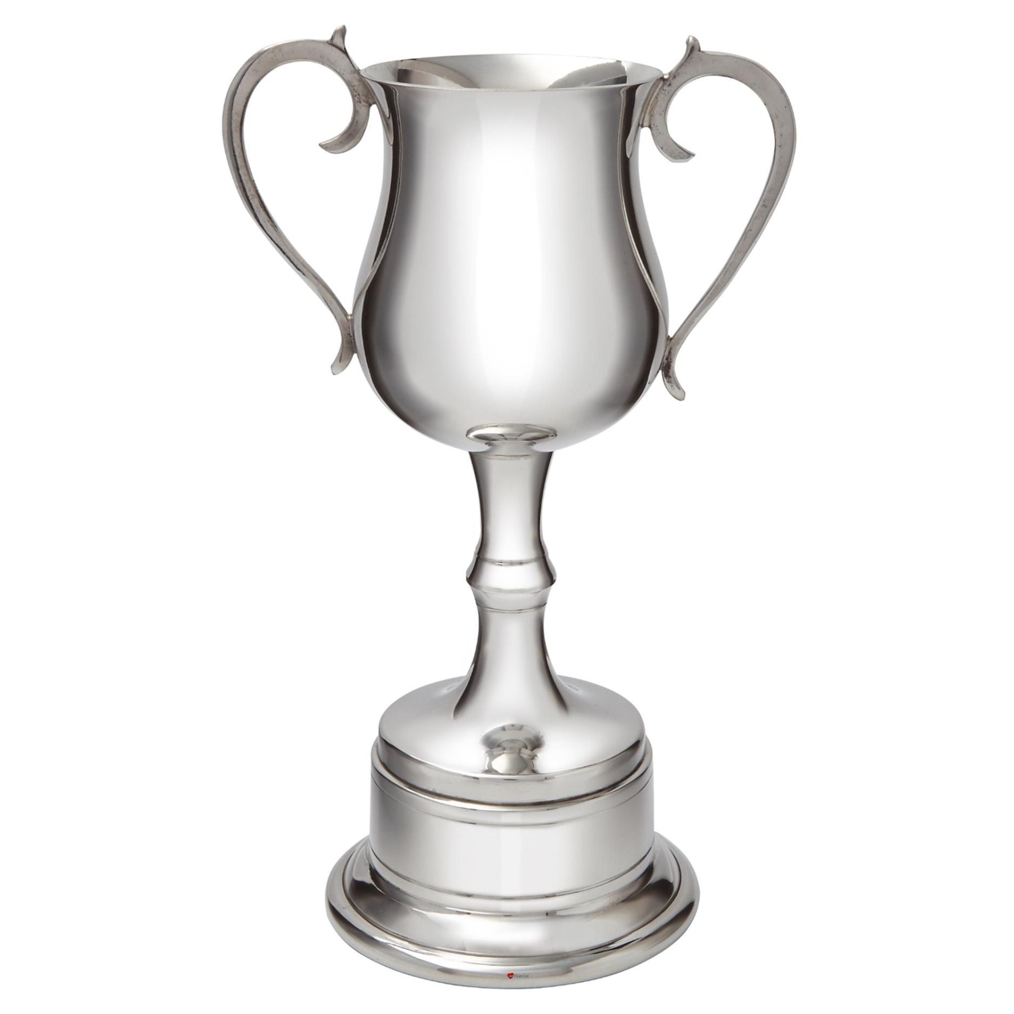 Silver trophy cup with two handles on a white background