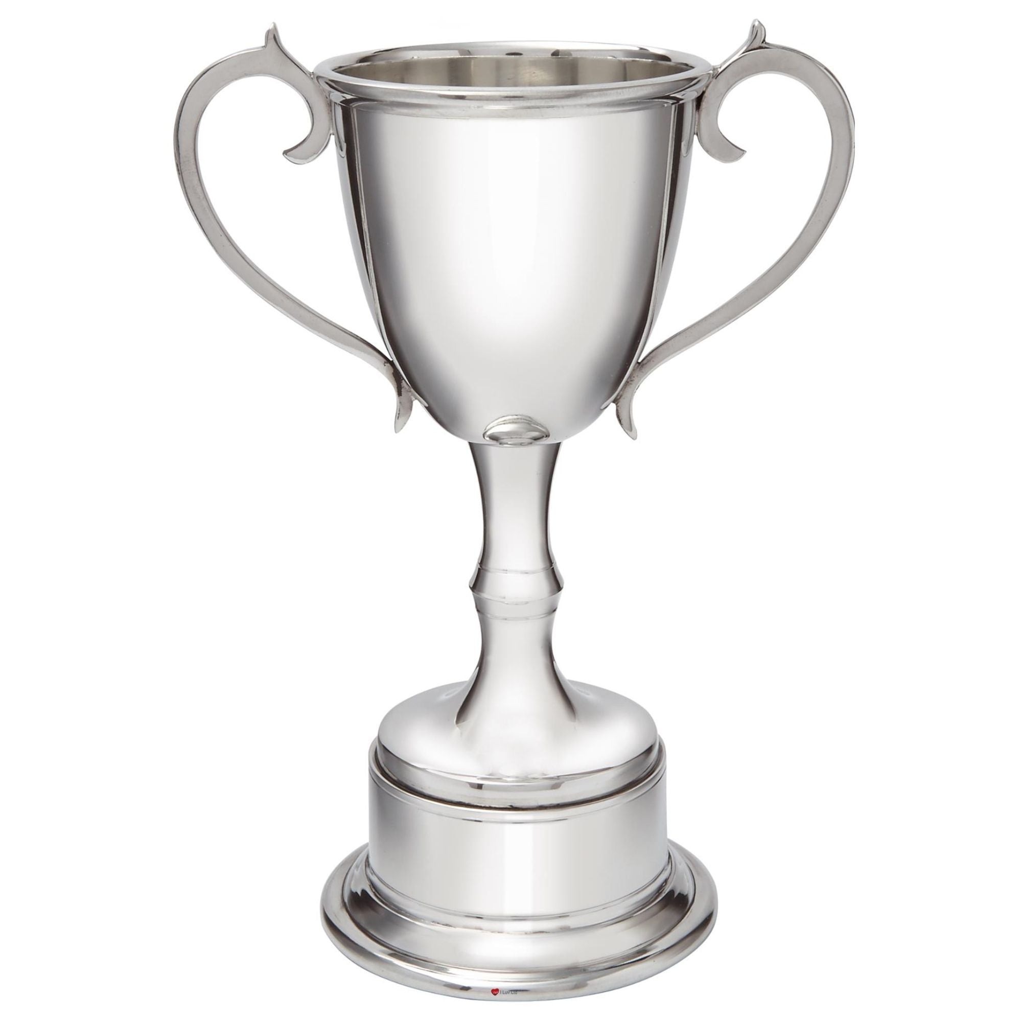 Silver trophy cup with two handles on a white background