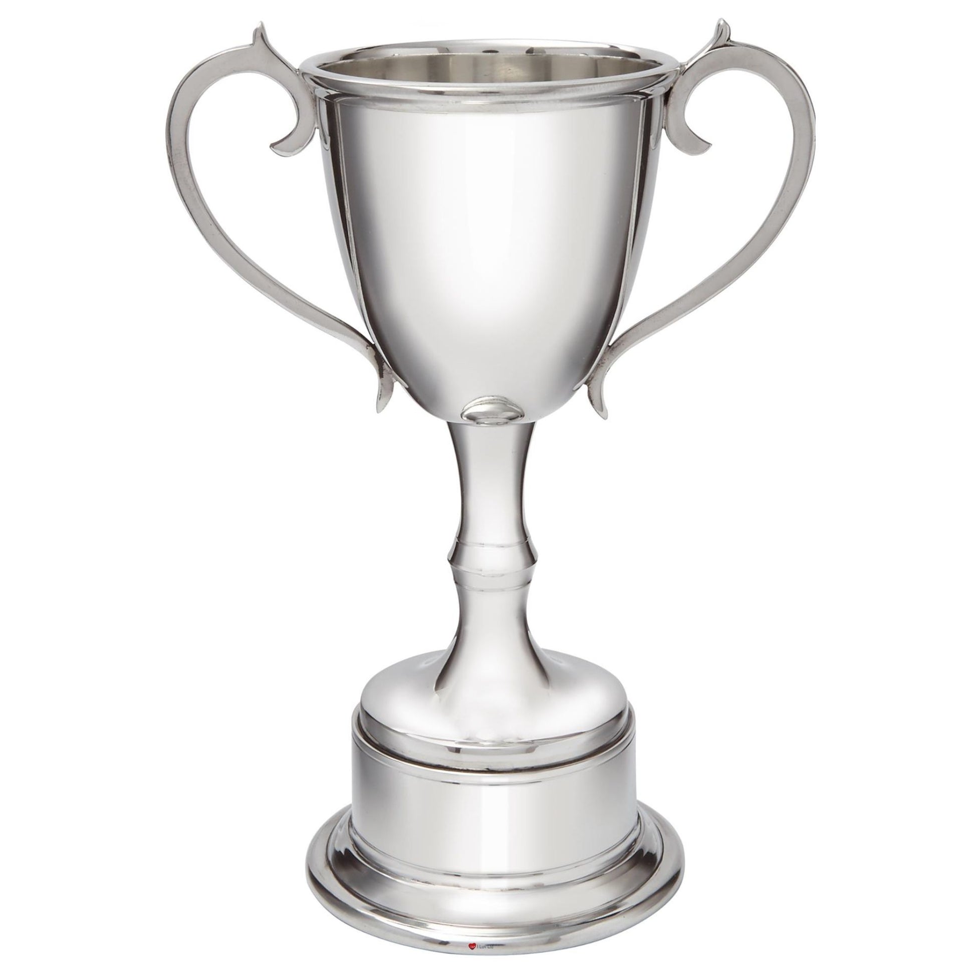 Silver trophy cup with two handles on a white background