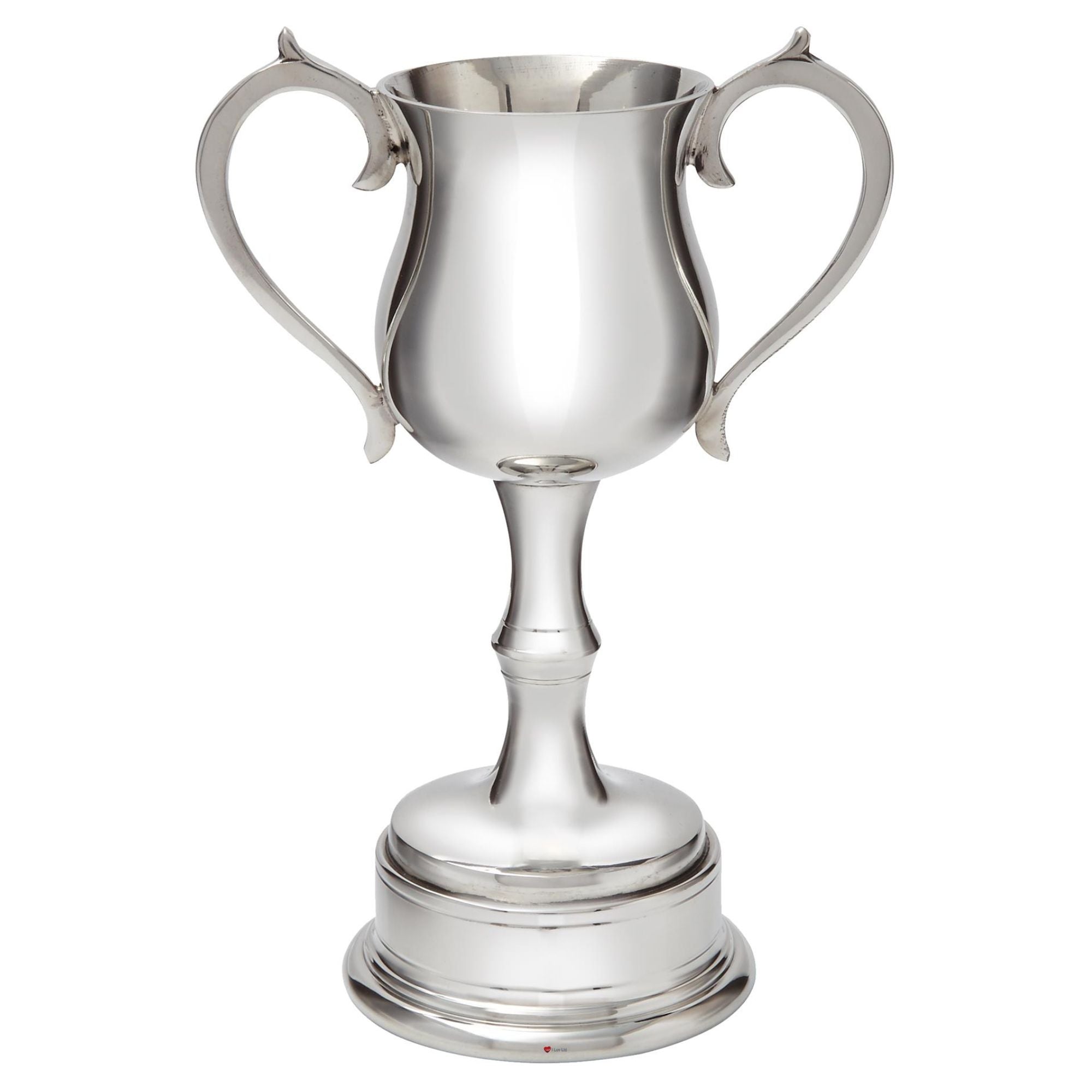 Silver trophy cup with two handles on a white background