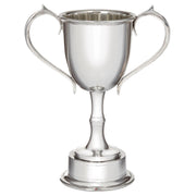 Silver trophy cup with two handles on a white background
