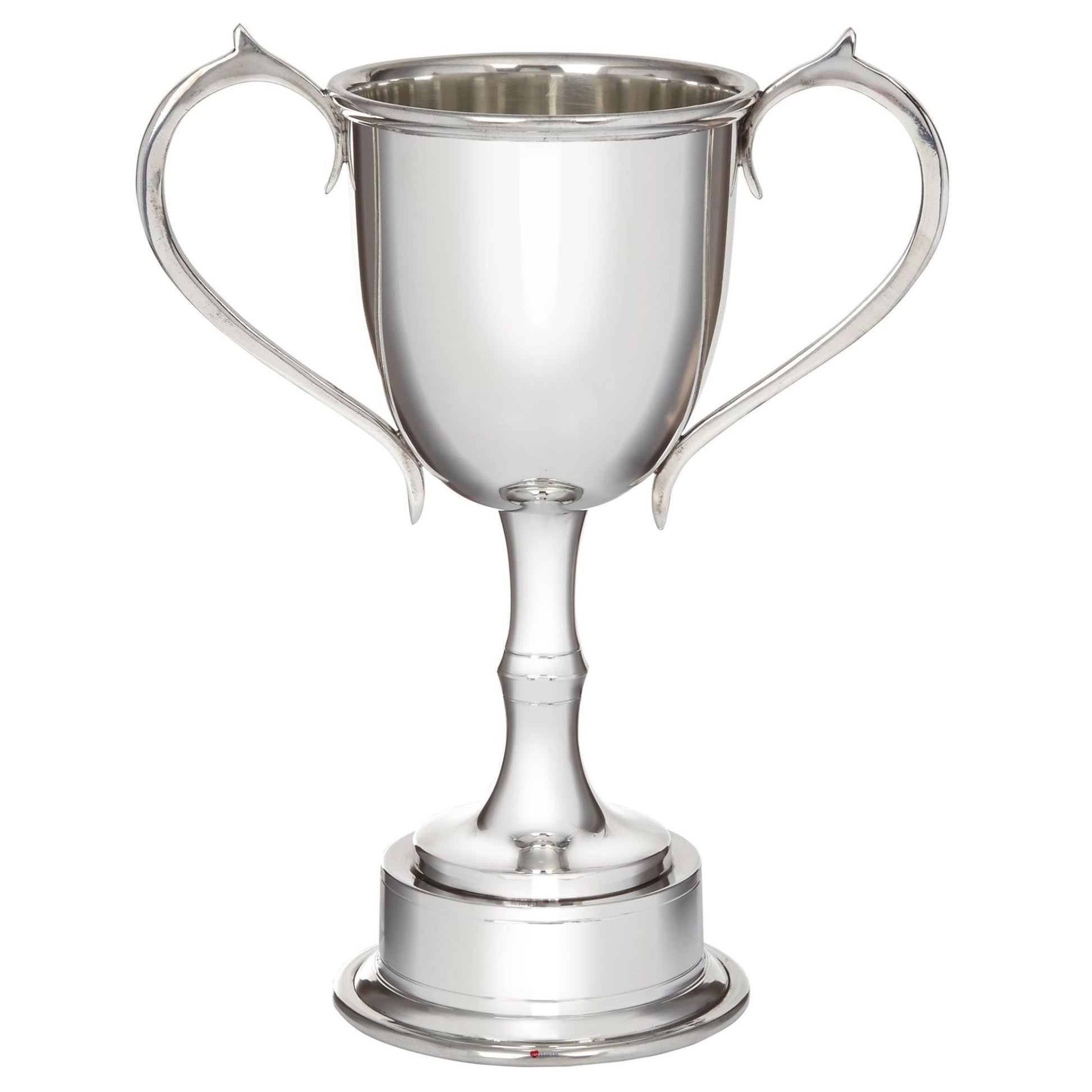 Silver trophy cup with two handles on a white background