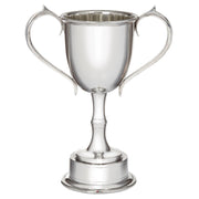 Silver trophy cup with two handles on a white background