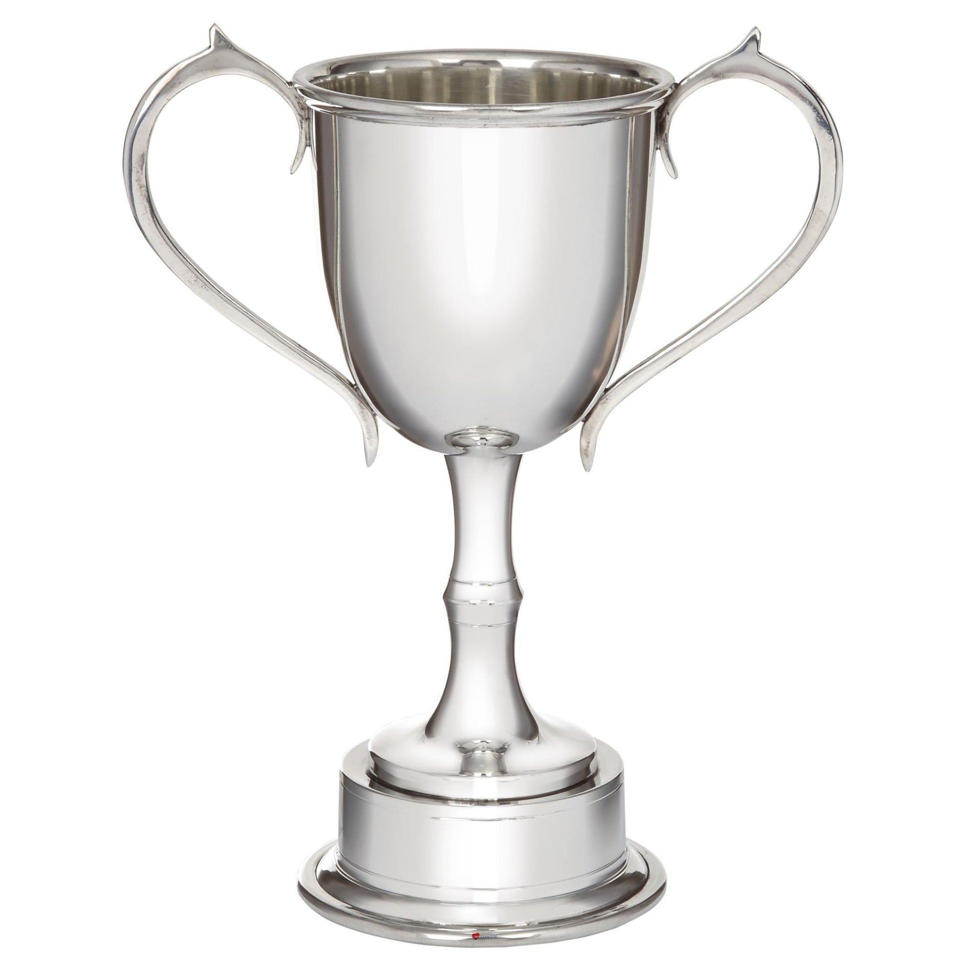 Silver trophy cup with two handles on a white background