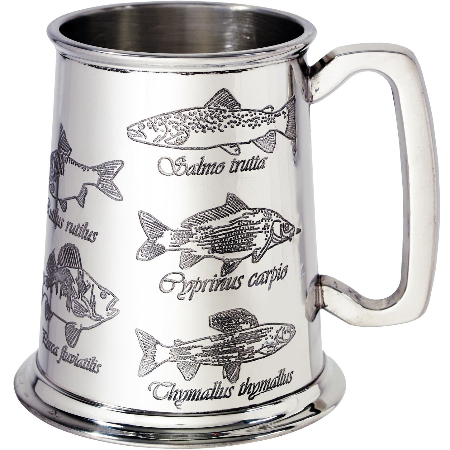 Pewter Tankard 1 Pint with Fish and Their Latin Names