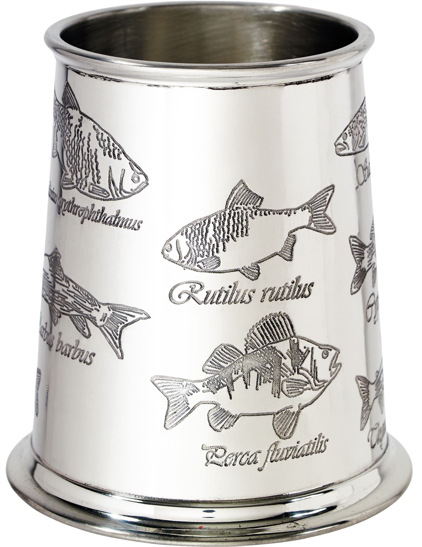 Pewter Tankard 1 Pint with Fish and Their Latin Names