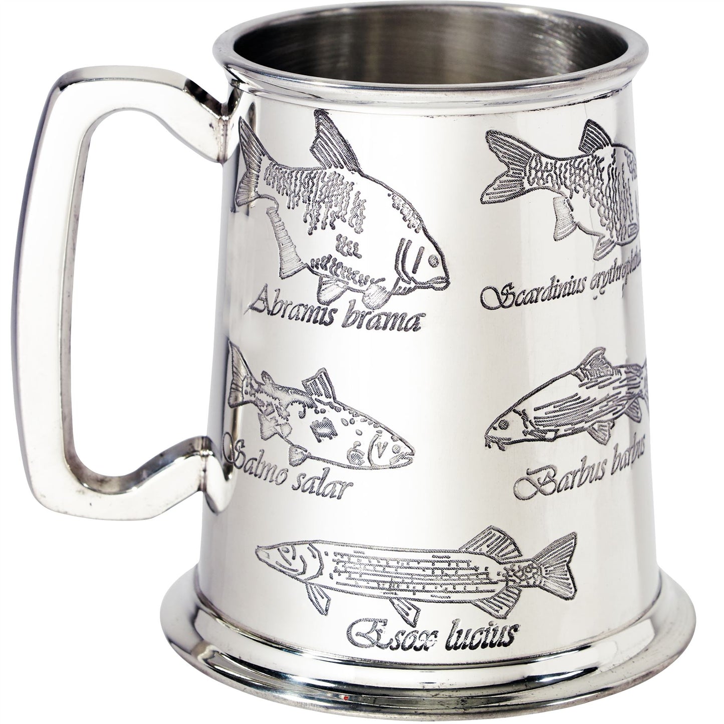 Pewter Tankard 1 Pint with Fish and Their Latin Names